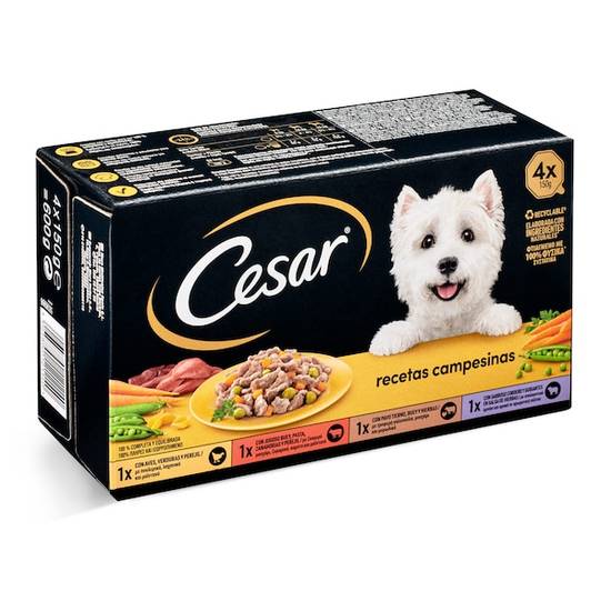 Alimento para perros completo Cesar caja 600 g