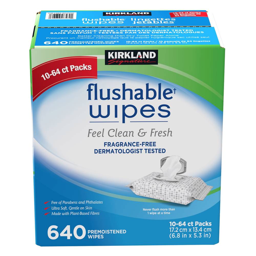 Kirkland Signature  Lingettes Jetables (640 unités) - Flushable Wipes (640 units)