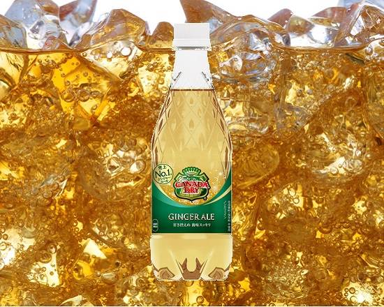 14417：カナダドライ ジンジャーエール 500MLペット / Canada Dry Ginger Ale