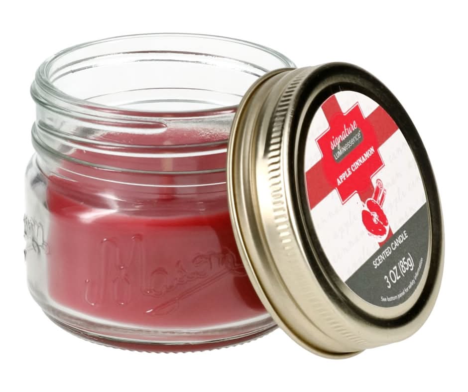 Luminessence Mason Jar Scented Candle, Apple-Cinnamon (3 oz)