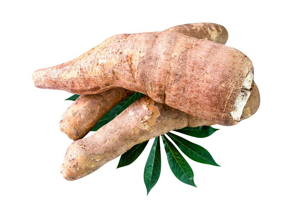 Yuca Root/Cassava