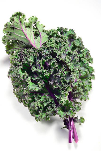 Organic Multicolor Kale
