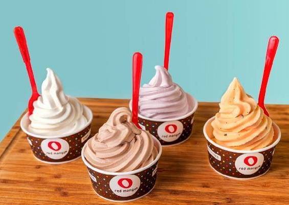 Large Frozen Yogurt and Treat