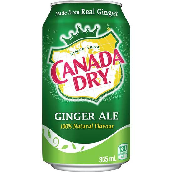 Gingerale Can (300 ml)