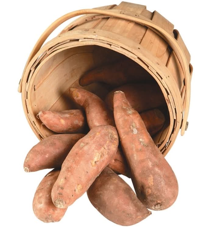 Jumbo White Sweet Potatoes