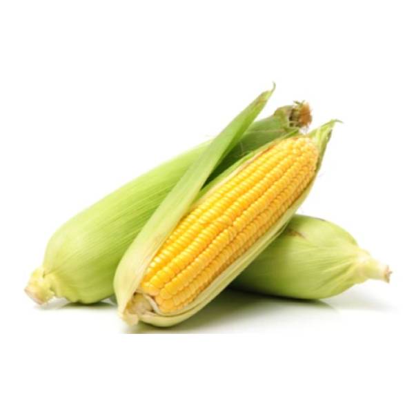 Non Gmo Sweet Corn