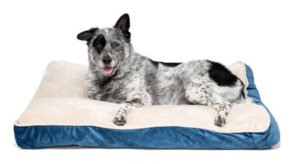 EveryYay Essentials Lounger Dog Bed, Large, Navy