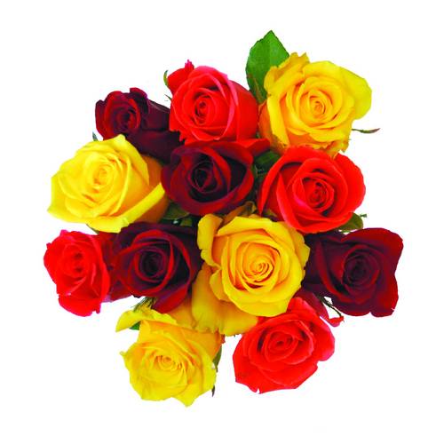 Rose Rainbow Bouquet Dozen