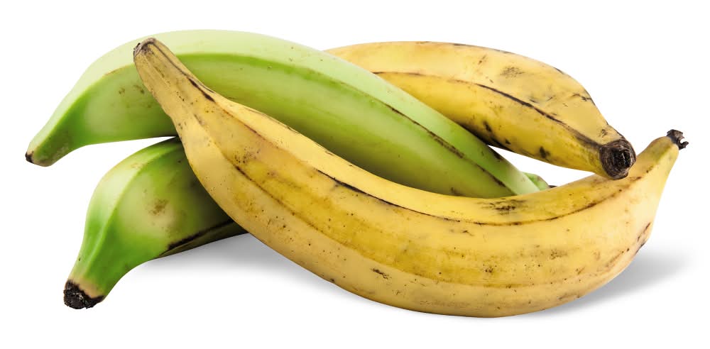 Plantain