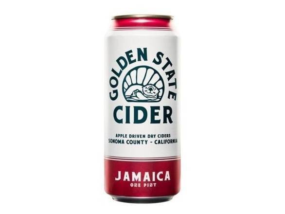Golden State Cider Jamaica Apple Driven Dry Cider Beer (4 ct, 16 fl oz)