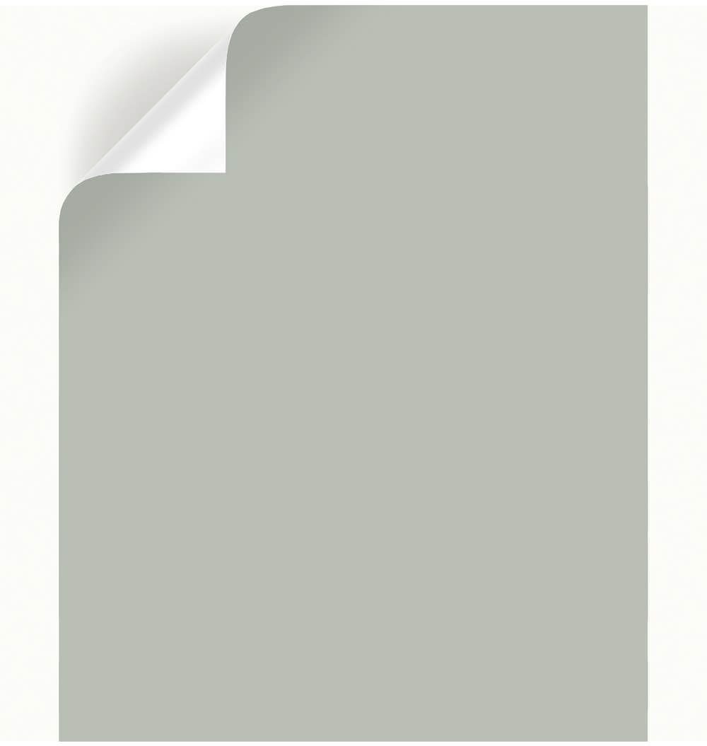 Magnolia Home By Joanna Gaines Americana Egg Peel & Stick Color Sample