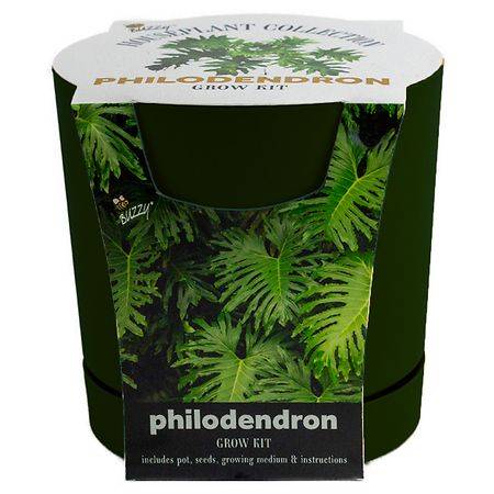 Buzzy Houseplant Grow Kit Philodendron