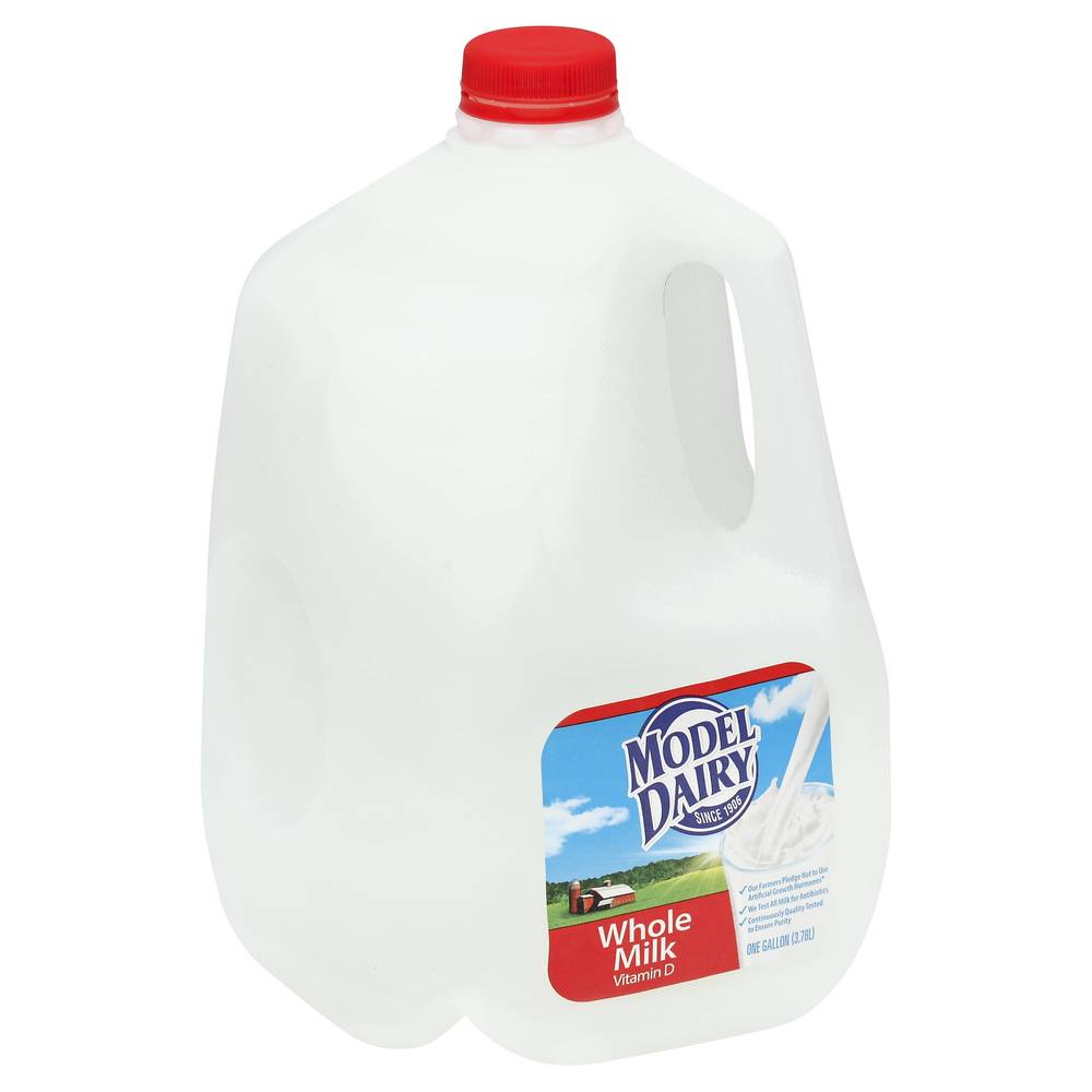 Model Dairy Whole Milk (1 gal)