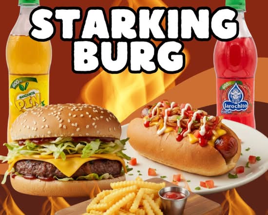 Starking Burg (Veracruz)