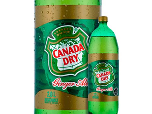 Canada Dry Ginger Ale 600cc