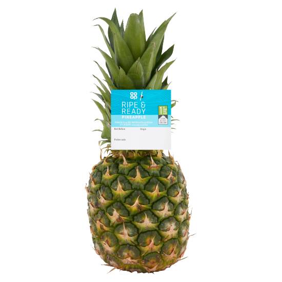 Co-Op Pineapple