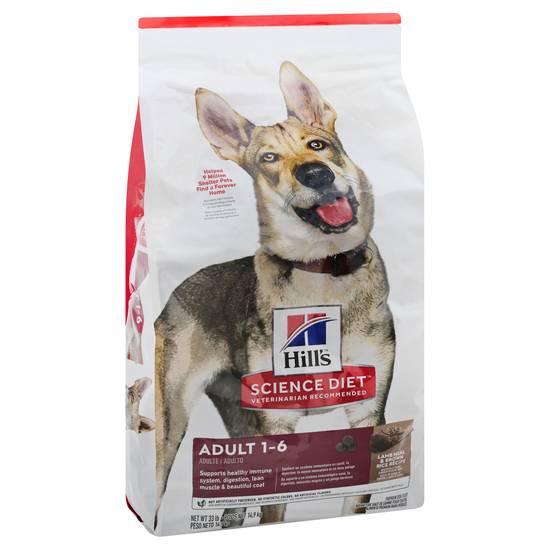 Hill's Lamb Meal & Brown Rice Recipe Adult 1-6 Dog Food