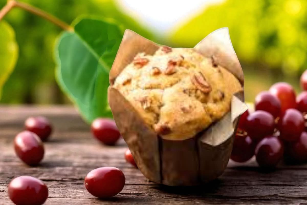 🍰🍩Muffin