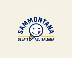 Sammontana - Gelati all'italiana - Ausonio