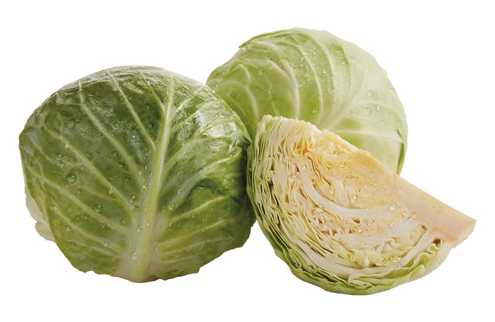Cabbage