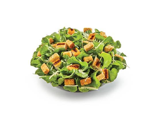 Salanova Chicken Caesar Salad