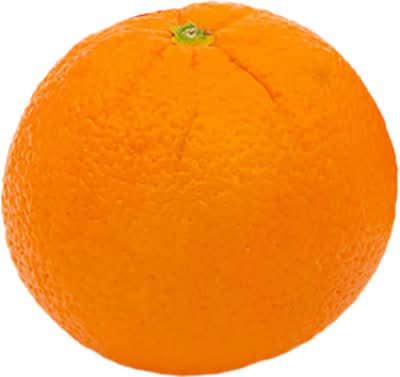 Navel Orange