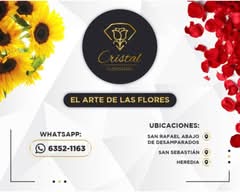 Floristería Cristal (Desamparados II)