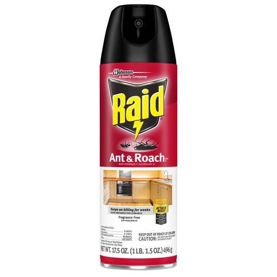 Raid Ant & Roach Killer 26, Fragrance Free, 17.5 OZ