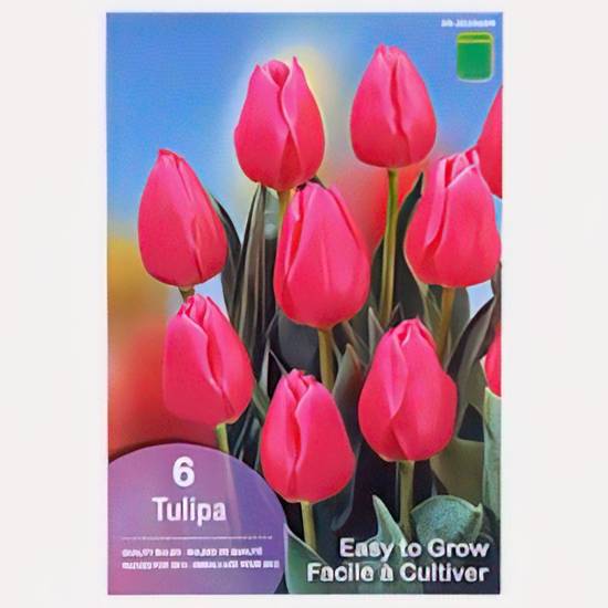 Easy To Grow Bulbes Fleurs Automne (105pq)