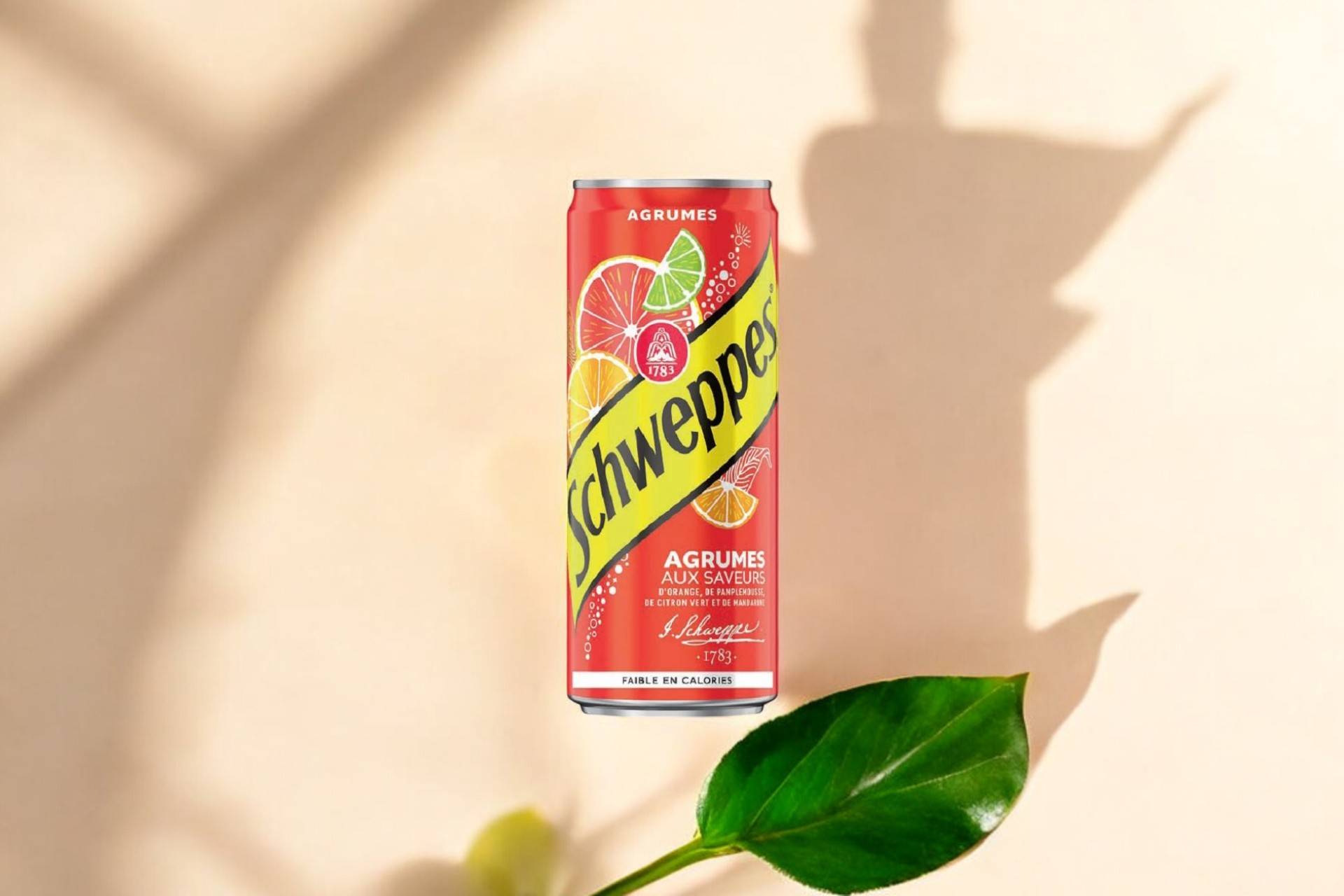 Schweppes agrumes🥤