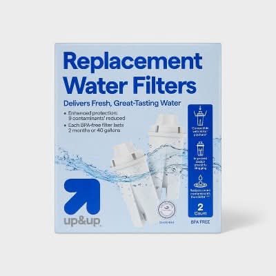 up&up Replacement Water Filter, White (2 ct)