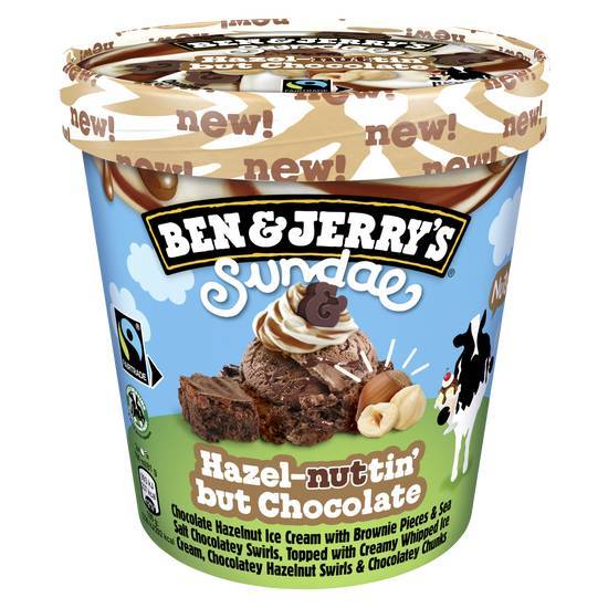 Ben & jerry's  glace en pot sundae hazel-nutin' but chocolate 427ml