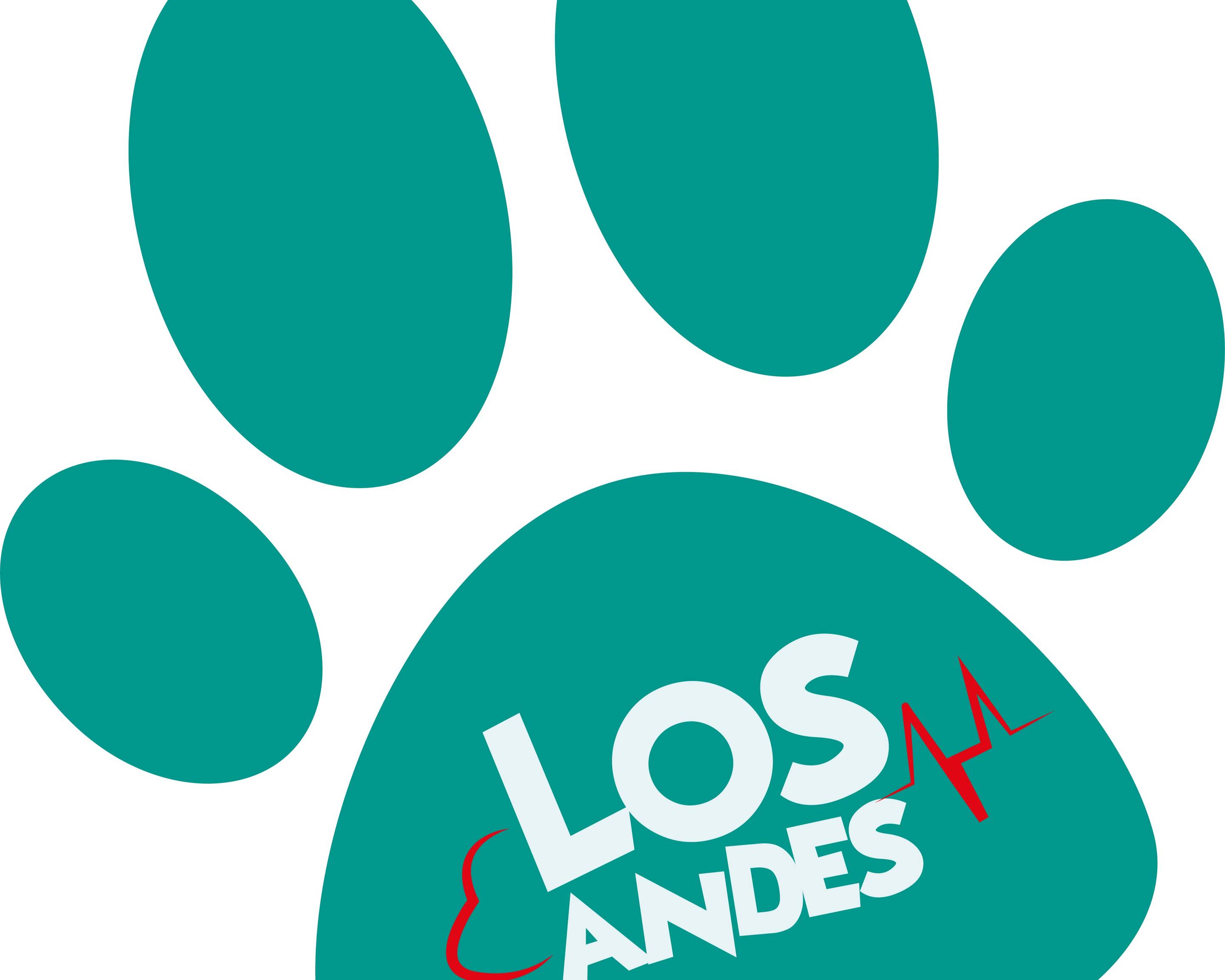 Arnés para Gatos con Moño + Traílla ergonómica - Clínica Veterinaria Los  Andes