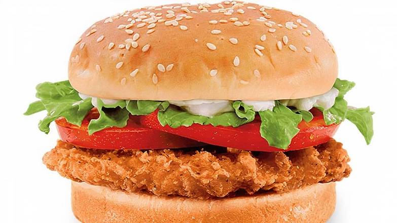 Spicy Chicken Sandwich only