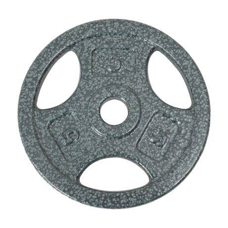 GoZone Weight Plate Silver