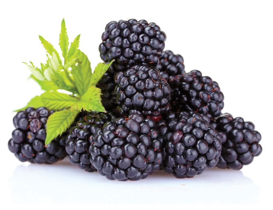 Blackberries (6 oz)
