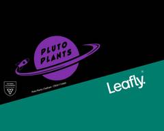 Pluto Plants - Chatham
