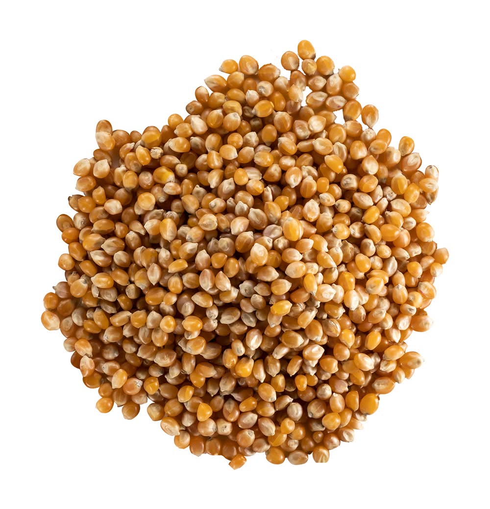 Carrefour Le Marché - Maïs à éclater (250g)