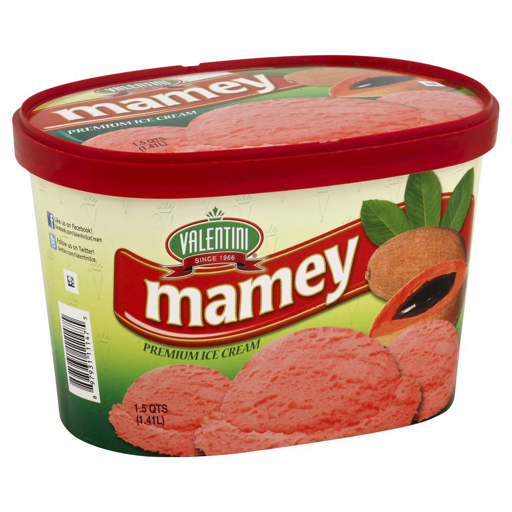 Valentini Mamey Premium Ice Cream