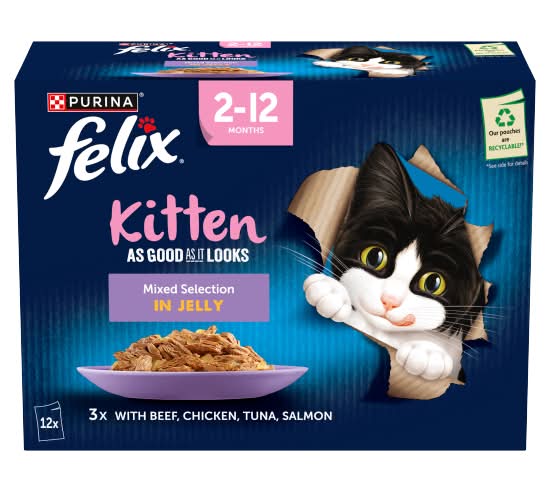 Felix Kitten As Good As It Looks Mixed Selection in Jelly 2-12 Months (12 pack)