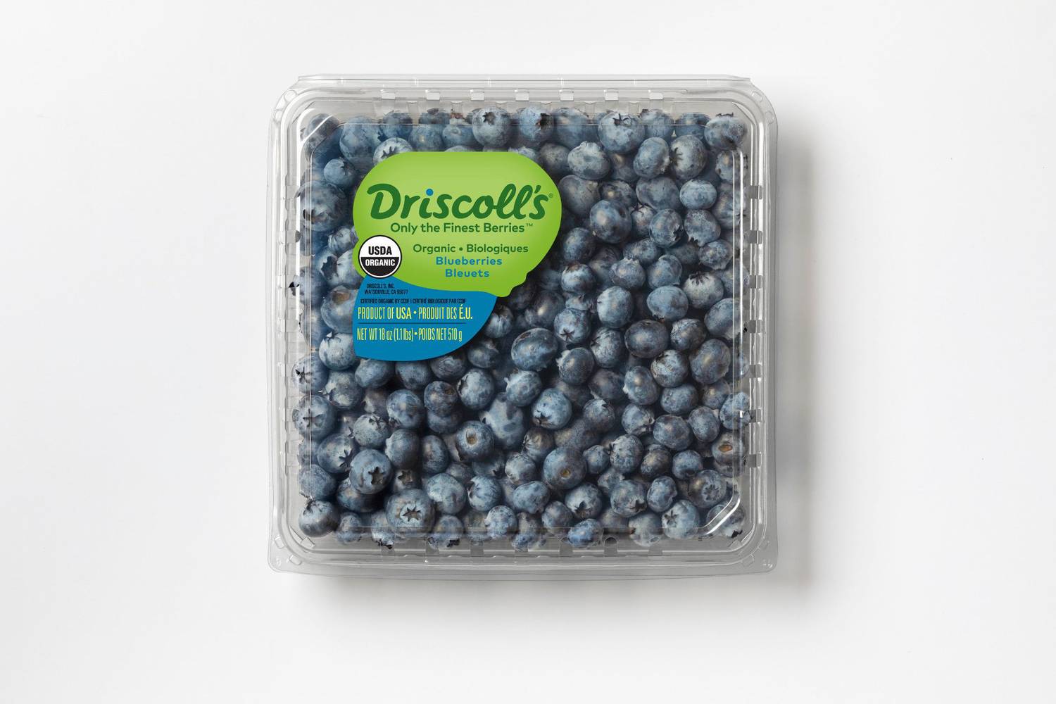 Blueberries Original 16 Oz