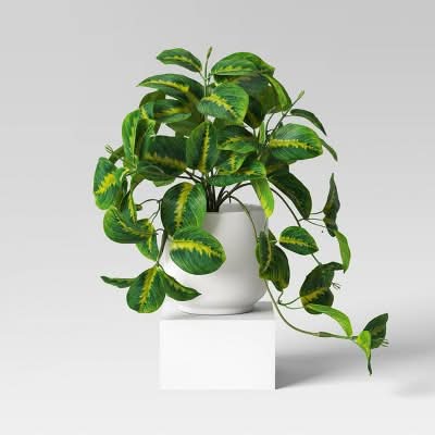 Room Essentials Trailing Prayer Artificial Plant