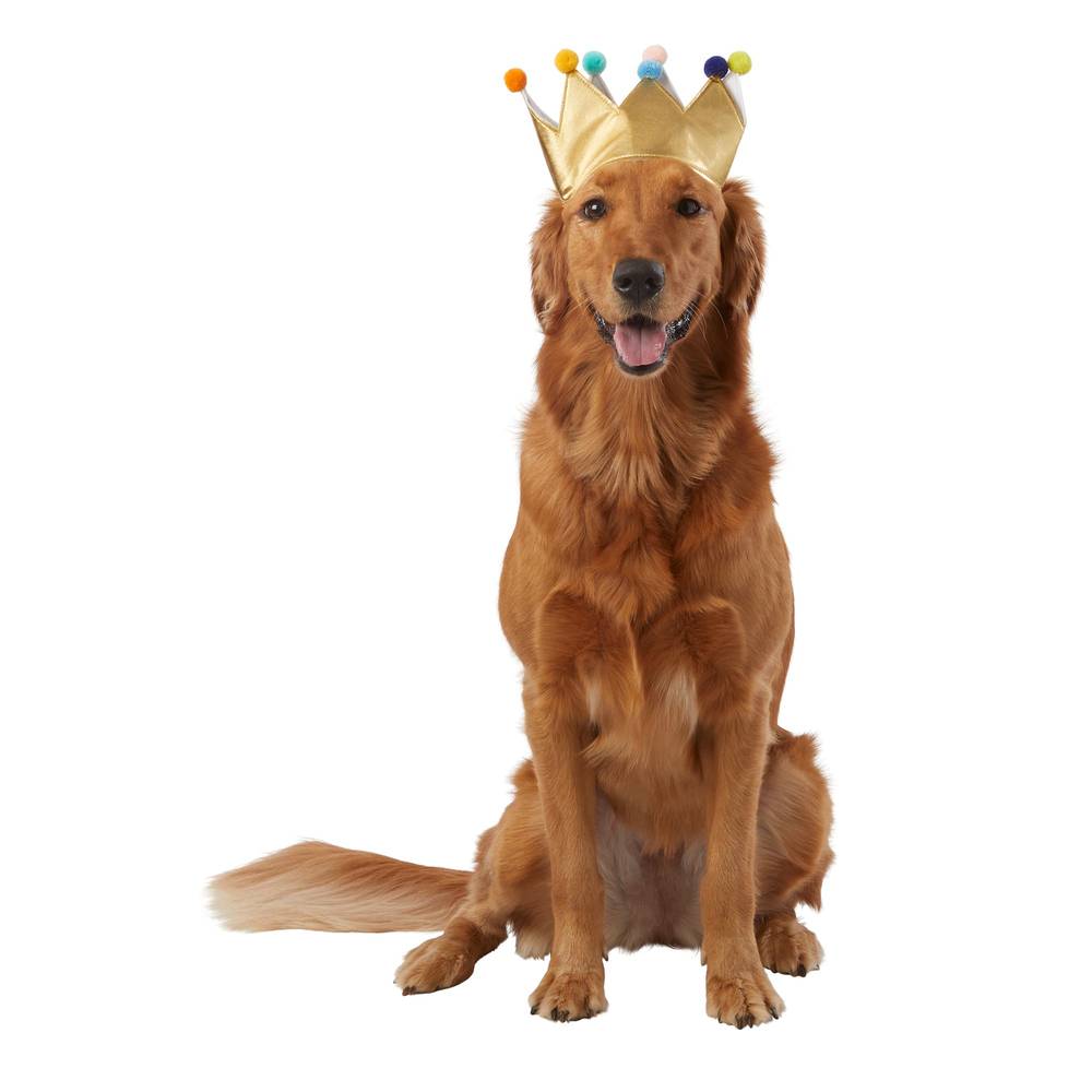 Top Paw Birthday Dog Crown (one size/gold)