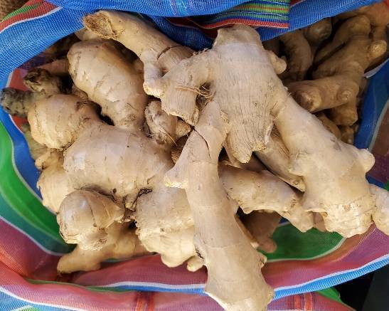 安心乾薑 Ginger