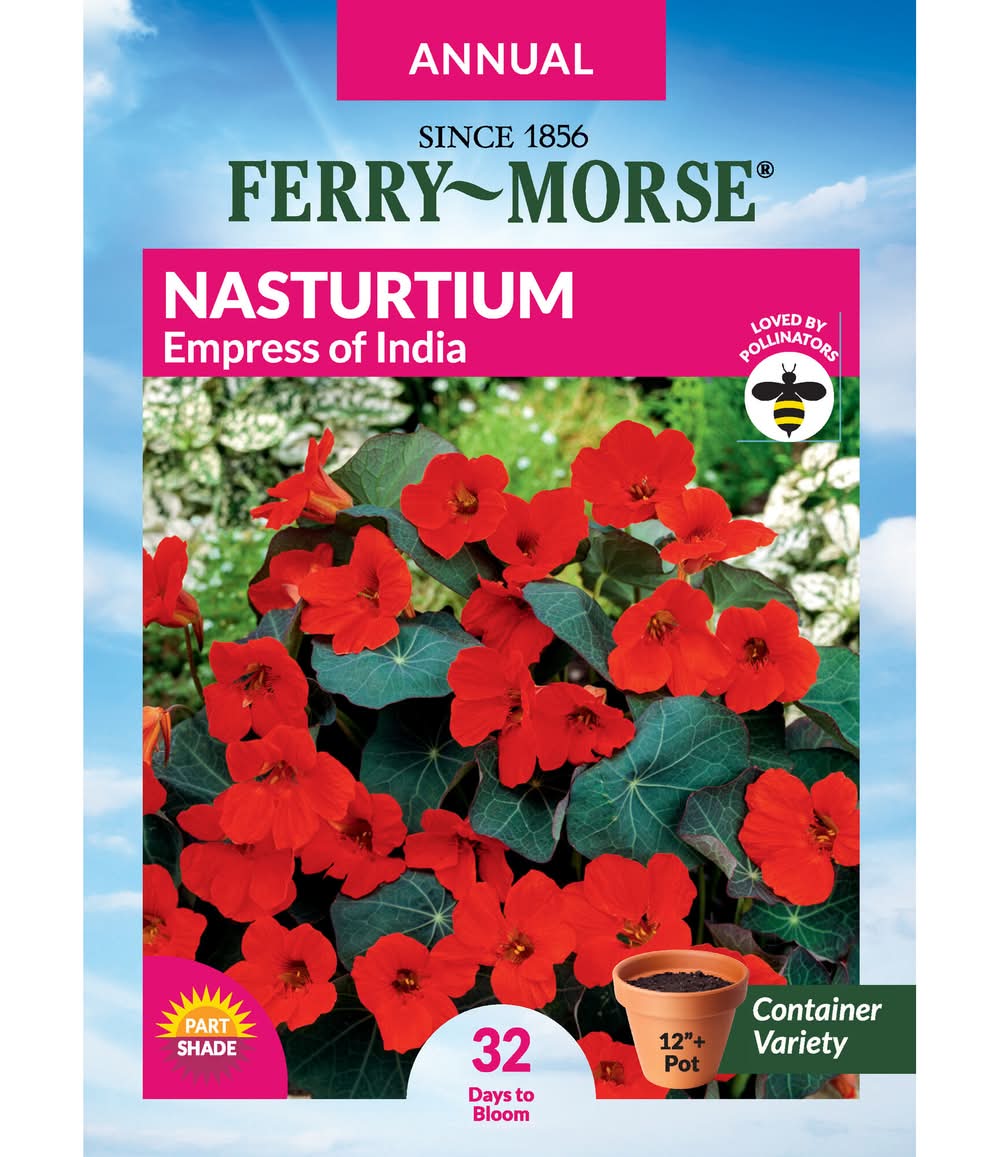 Ferry-Morse A NASTURTIUM EMPRESS OF INDIA