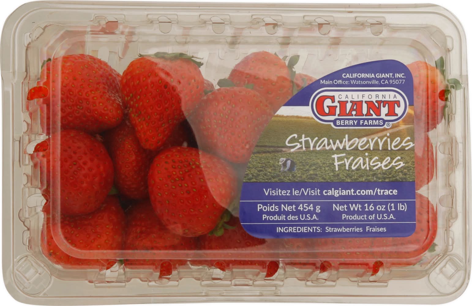 California Giant Berry Farms Strawberries Fraises (1 lbs)