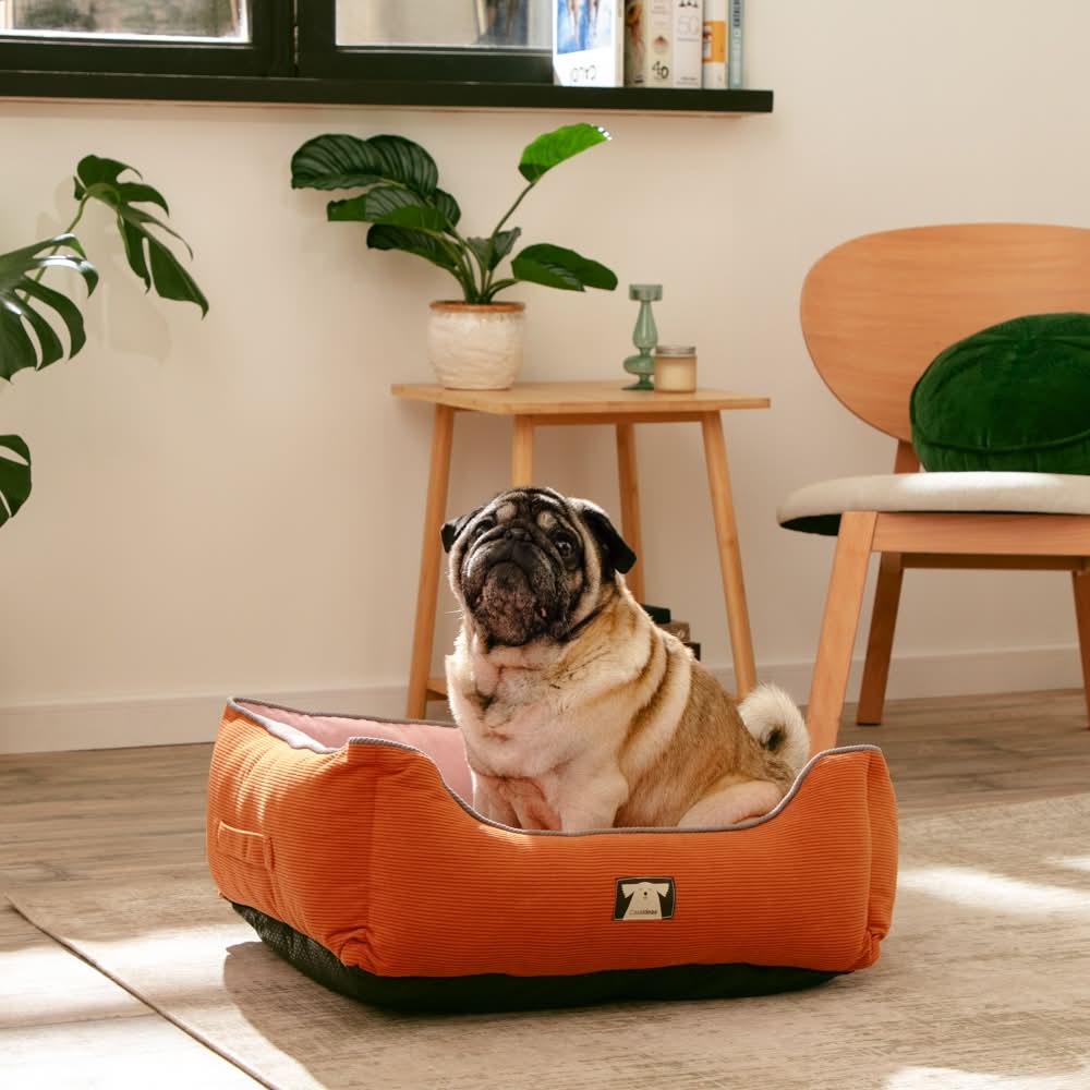 Delivery de Casaideas Cama nido para perros a Domicilio Uber Eats