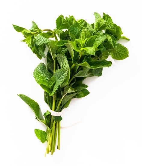 Mint