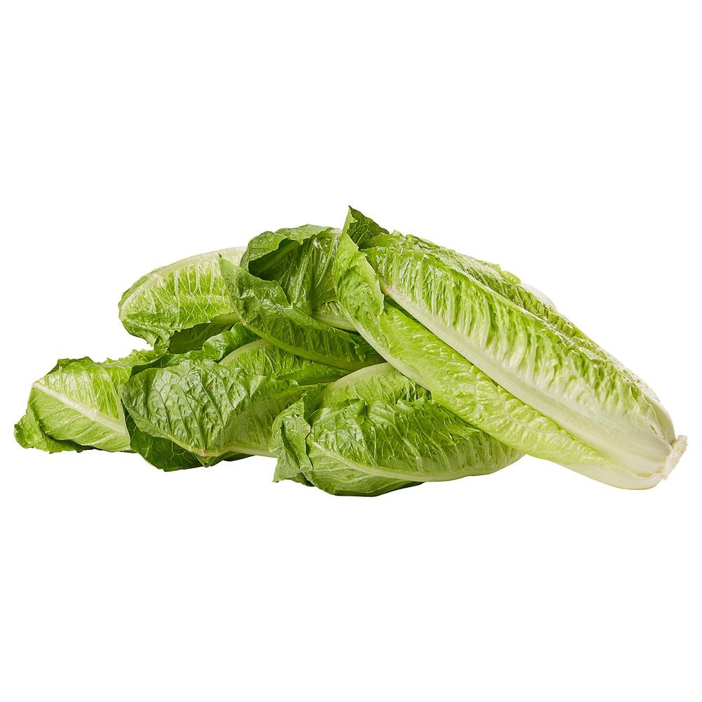 Romaine Hearts, 6-count