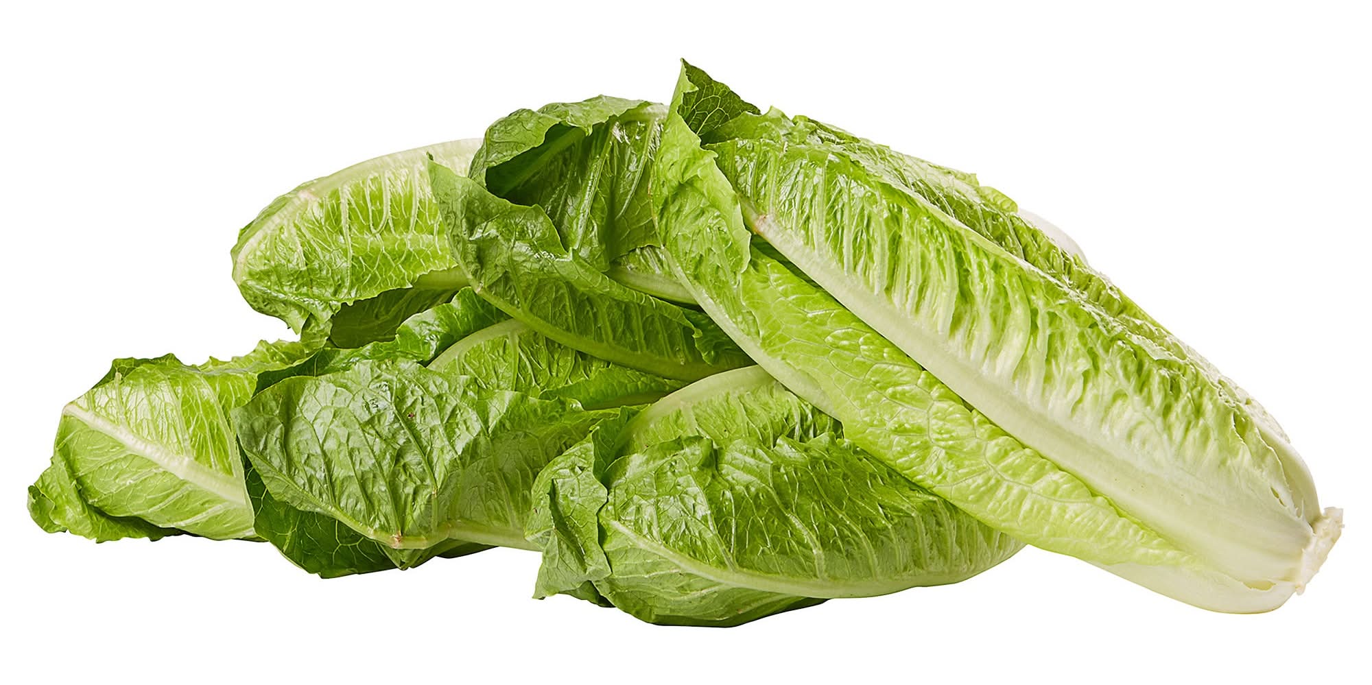Romaine Hearts, 6-count